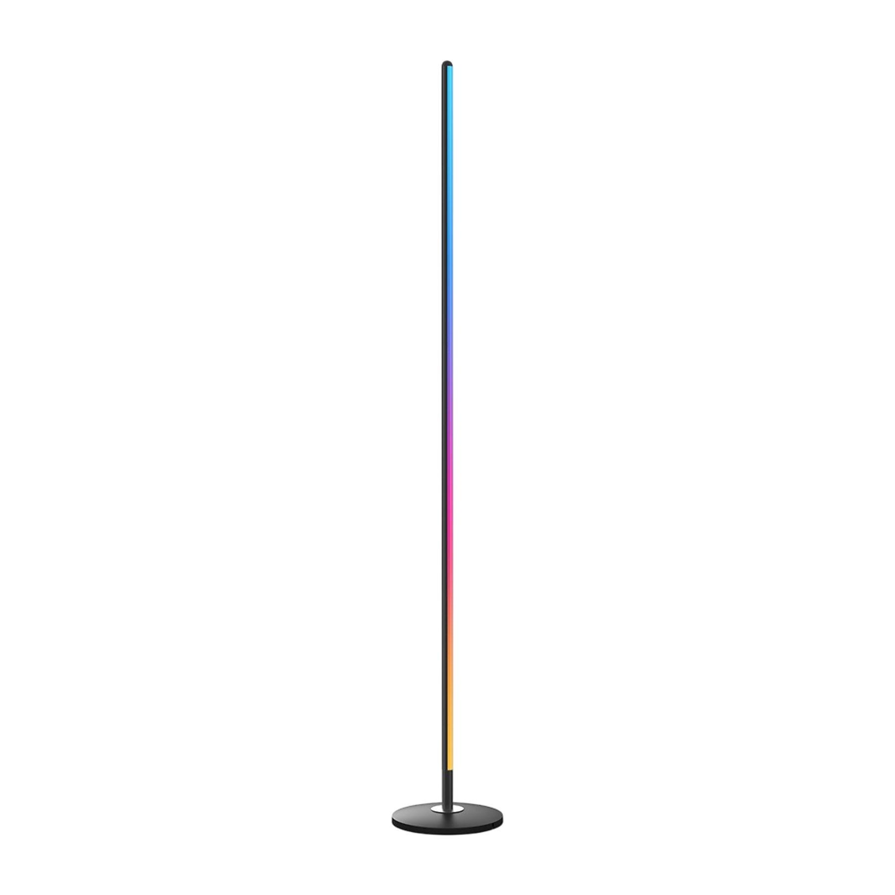 Govee Floor Lamp Lite